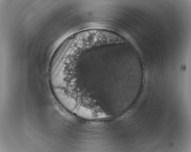 X0000111911427200908241016