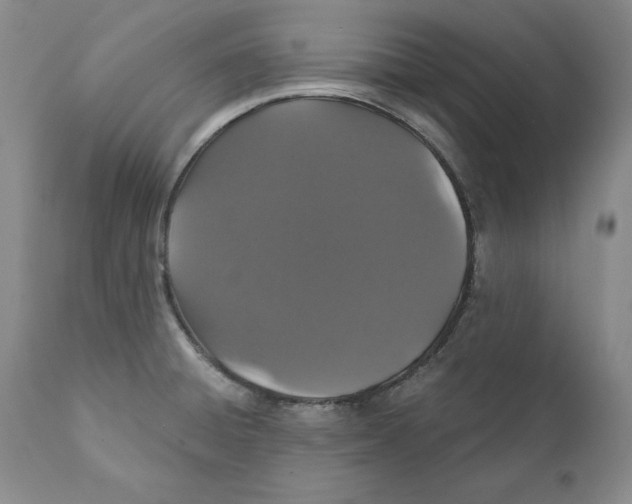 X0000111911428200908241016