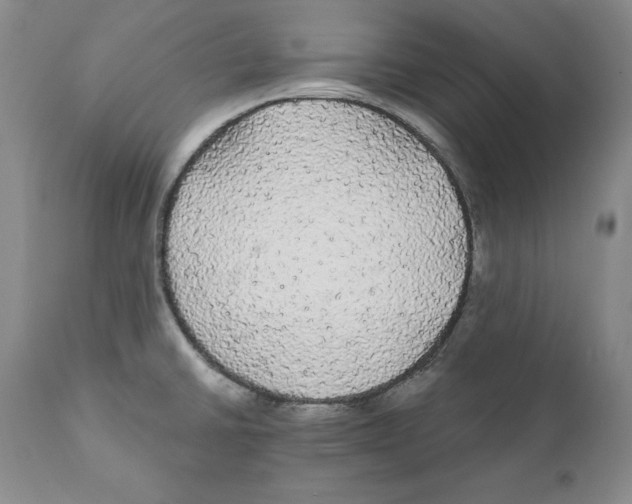 X0000111911430200908241016