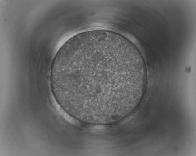 X0000111911431200908241016