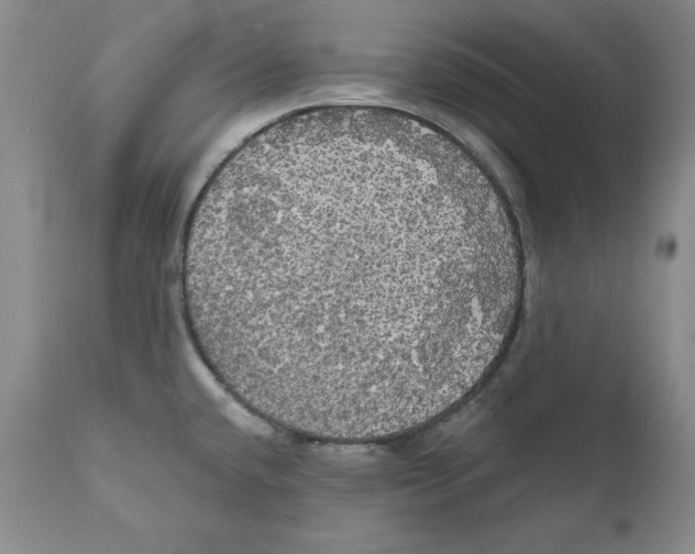 X0000111911432200908241016