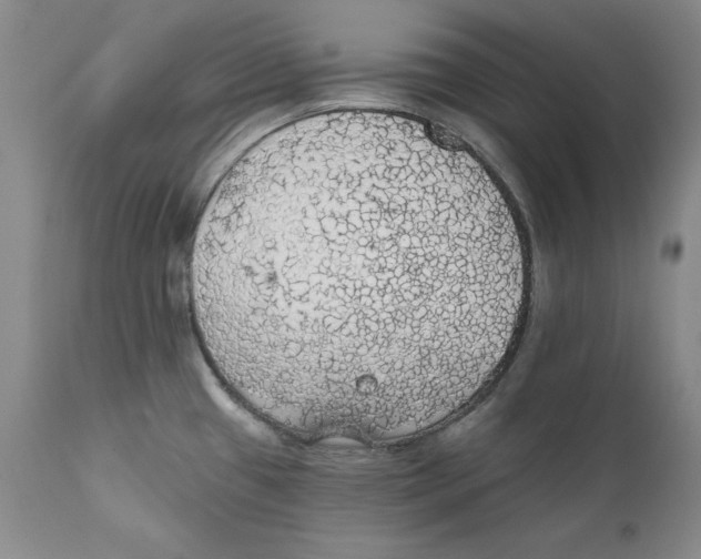 X0000111911433200908241016