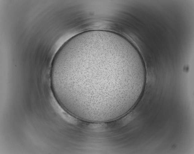 X0000111911434200908241016
