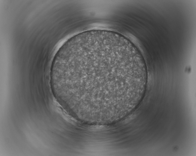 X0000111911435200908241016