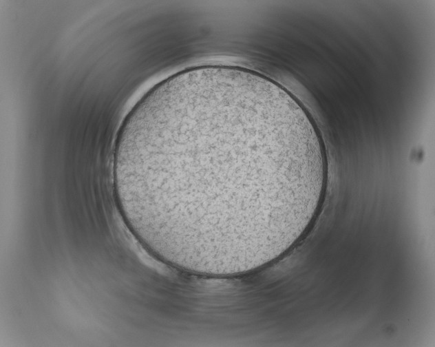 X0000111911436200908241016
