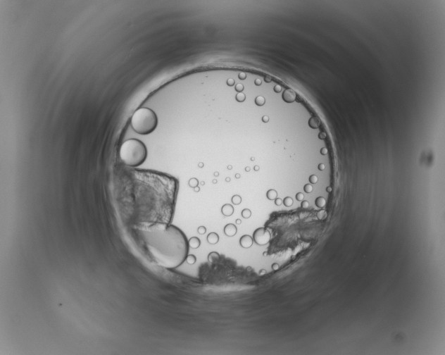 X0000111911437200908241016