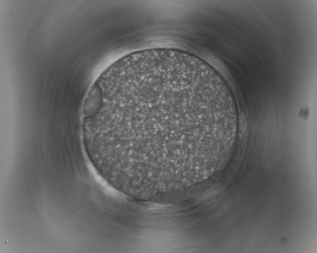 X0000111911439200908241016