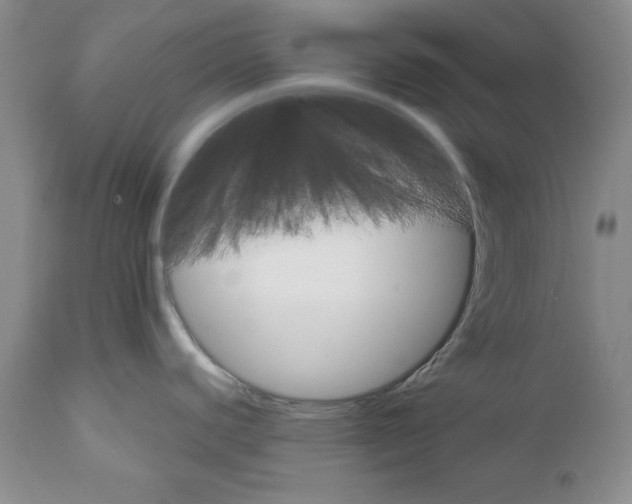 X0000111911440200908241016