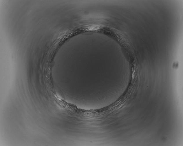 X0000111911441200908241015