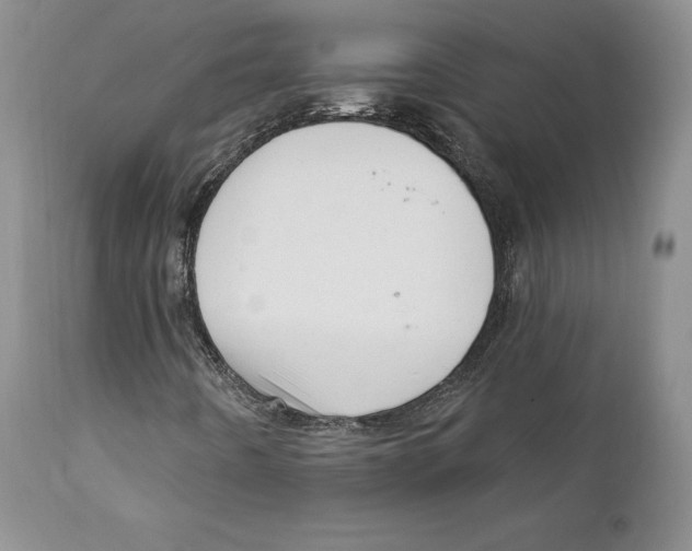 X0000111911442200908241015