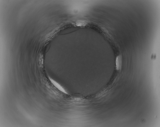 X0000111911443200908241015