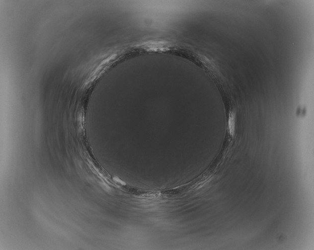 X0000111911444200908241015