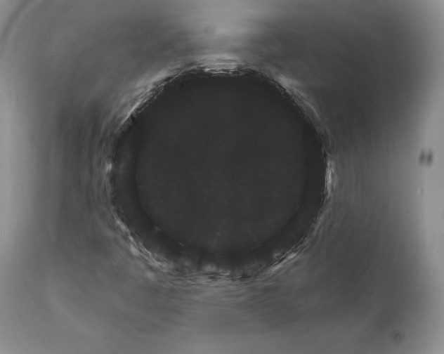 X0000111911445200908241015