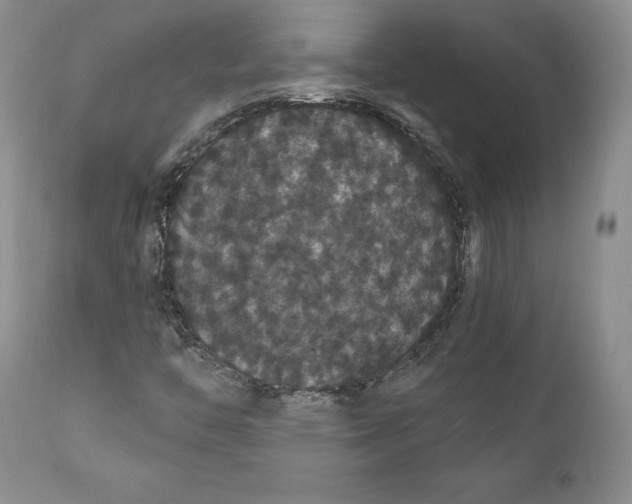 X0000111911446200908241015