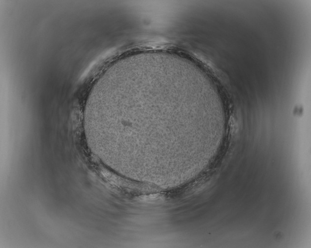X0000111911447200908241015