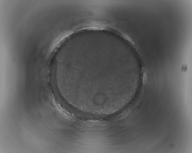 X0000111911448200908241015