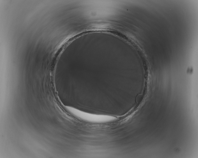 X0000111911449200908241015