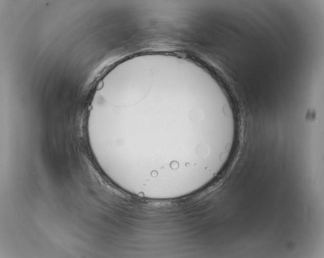 X0000111911451200908241015