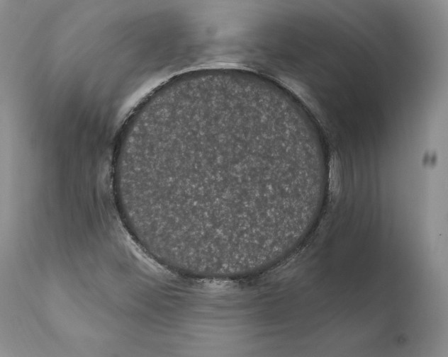 X0000111911452200908241015