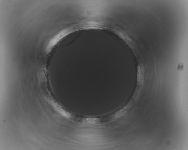 X0000111911453200908241015