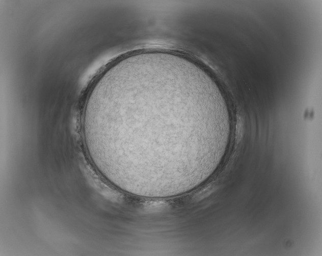 X0000111911454200908241015