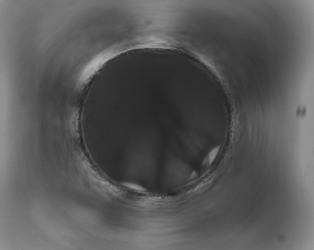 X0000111911455200908241015
