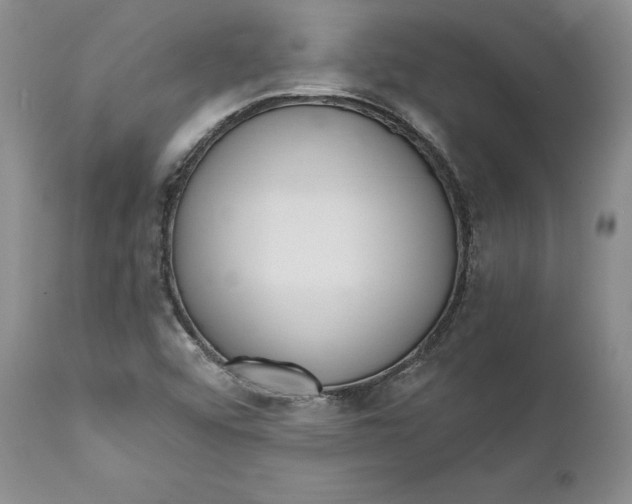 X0000111911456200908241015
