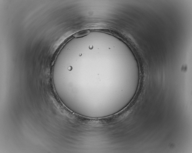 X0000111911457200908241015