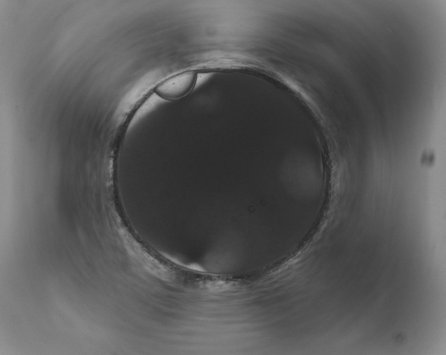 X0000111911459200908241015