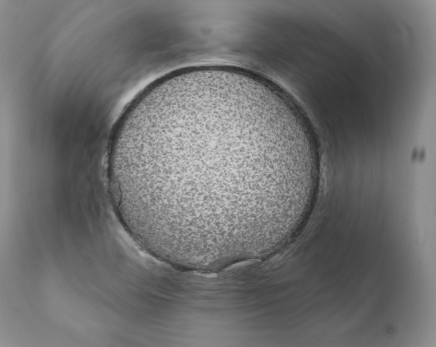 X0000111911460200908241015