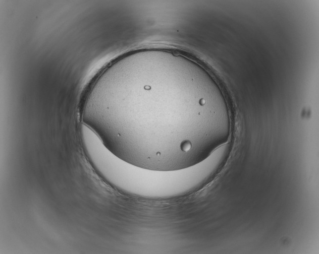 X0000111911461200908241015