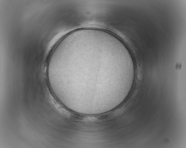 X0000111911462200908241015