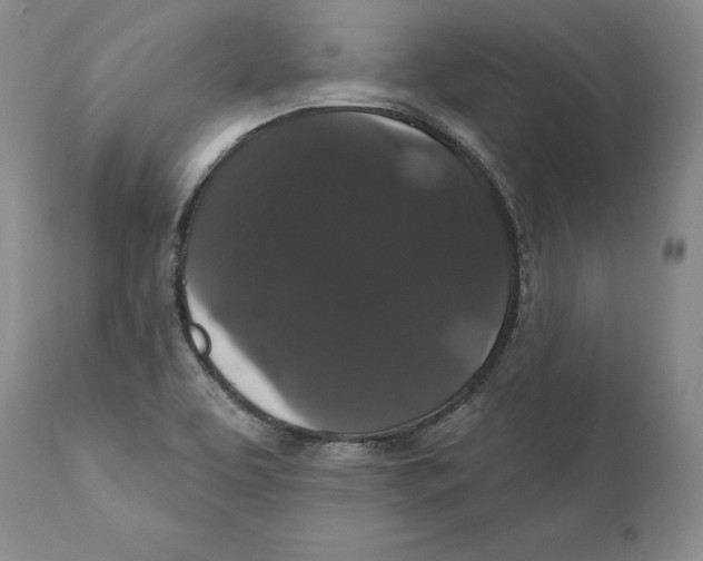 X0000111911463200908241015
