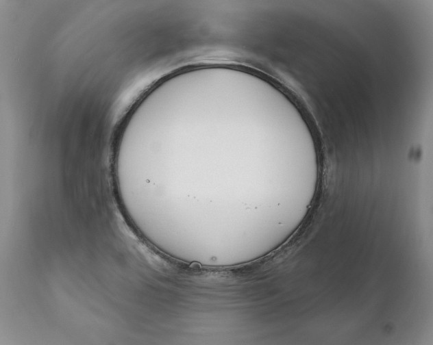 X0000111911464200908241015
