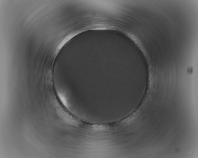 X0000111911465200908241015