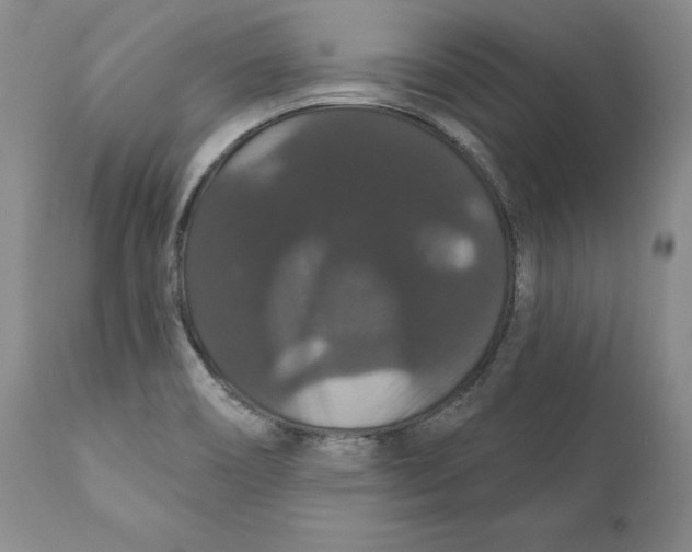 X0000111911466200908241015