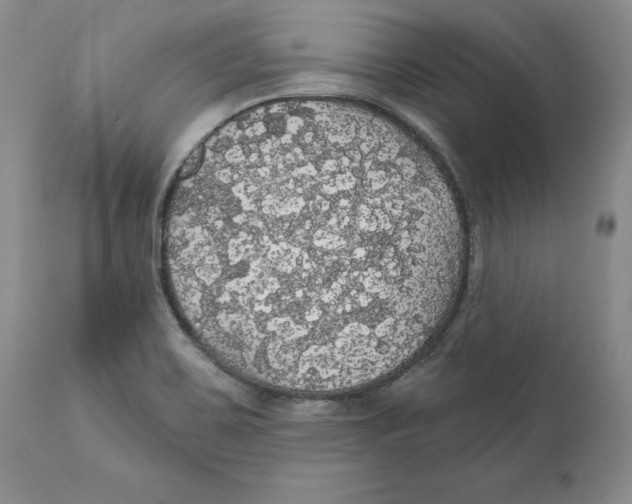 X0000111911467200908241015