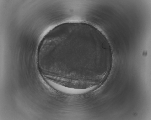 X0000111911469200908241015