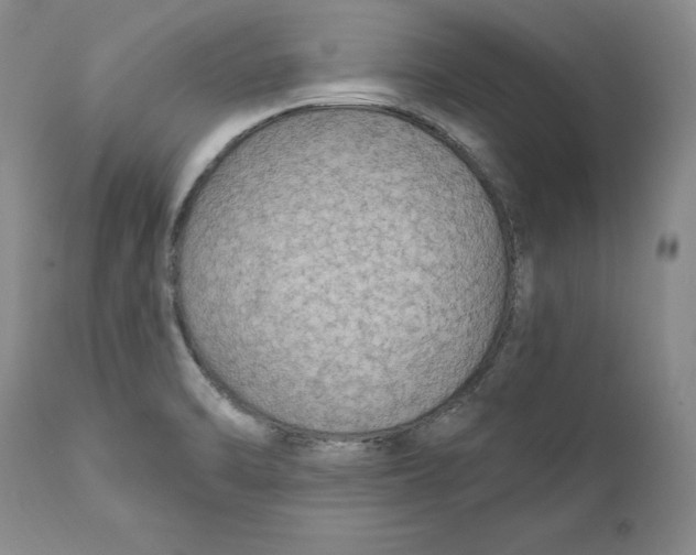 X0000111911470200908241015