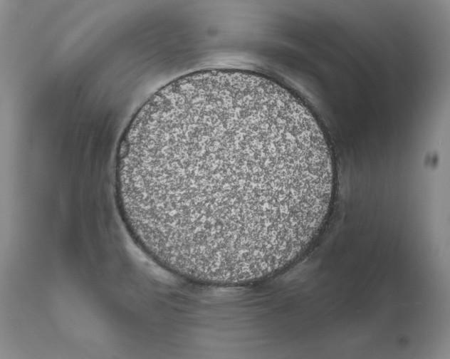 X0000111911471200908241015
