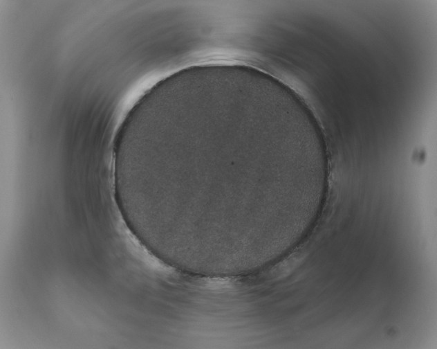 X0000111911472200908241015