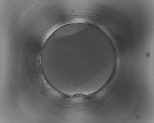 X0000111911473200908241015