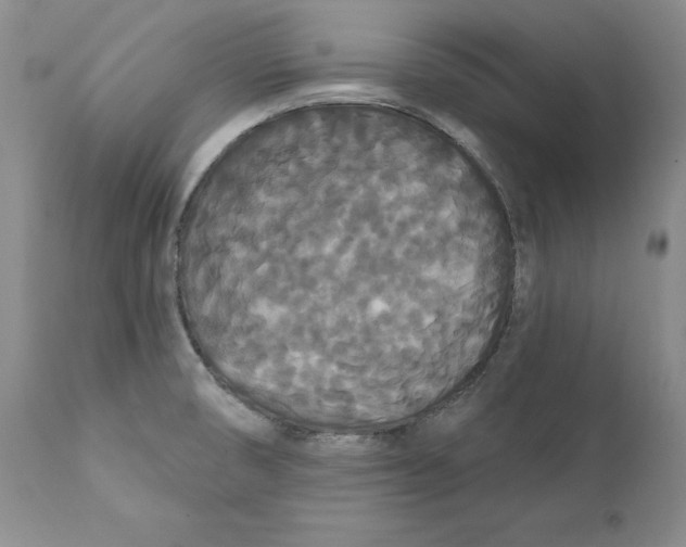 X0000111911474200908241015