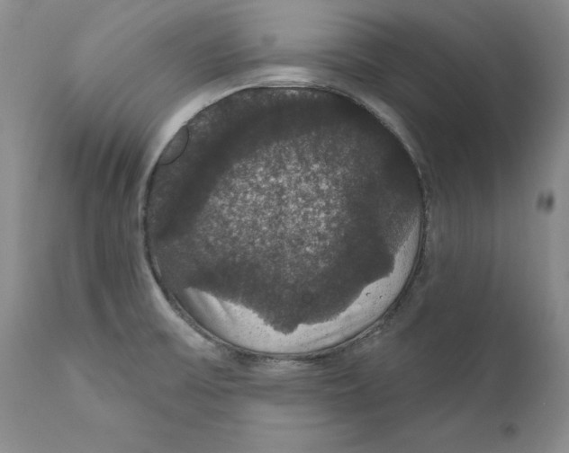 X0000111911475200908241015
