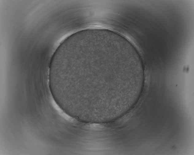 X0000111911476200908241015