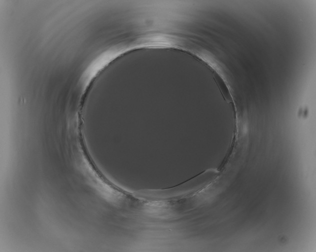 X0000111911477200908241015