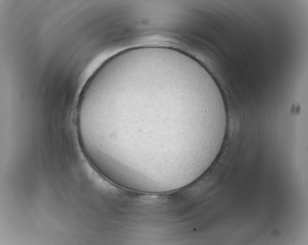 X0000111911478200908241015