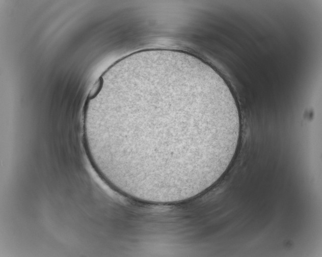 X0000111911479200908241015