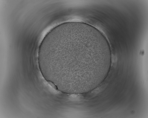 X0000111911480200908241015