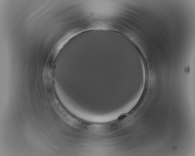 X0000111911481200908241015